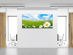 Glasdekor Obraz skleněný rozkvetlá letní louka a bílé kopretiny - Rozměry-obdélník: 80 x 90 cm