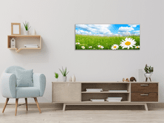 Glasdekor Obraz skleněný rozkvetlá letní louka a bílé kopretiny - Rozměry-obdélník: 80 x 90 cm
