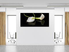 Glasdekor Obraz skleněný bílá kala na černém pozadí - Rozměry-obdélník: 65 x 110 cm