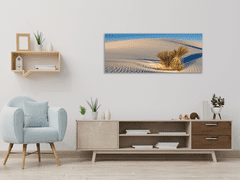 Glasdekor Obraz skleněný tráva v bílé písečné duně - Rozměry-obdélník: 70 x 90 cm