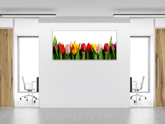 Glasdekor Obraz skleněný barevné tulipány - Rozměry-obdélník: 52 x 60 cm