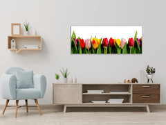 Glasdekor Obraz skleněný barevné tulipány - Rozměry-obdélník: 52 x 60 cm