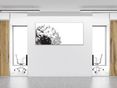 Glasdekor Obraz skleněný černá odkvetlá pampeliška s rosou - Rozměry-obdélník: 50 x 100 cm