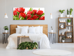 Glasdekor Obraz skleněný červené tulipány - Rozměry-obdélník: 40 x 60 cm