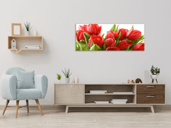 Glasdekor Obraz skleněný červené tulipány - Rozměry-obdélník: 40 x 60 cm