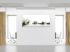 Glasdekor Obraz skleněný wellnes styl tráva a kámen - Rozměry-obdélník: 30 x 60 cm