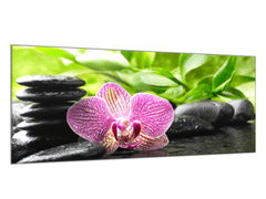 Glasdekor Obraz skleněný jeden květ orchideje na zen kamenech - Rozměry-obdélník: 60 x 70 cm