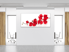 Glasdekor Obraz skleněný květy červená orchidej - Rozměry-obdélník: 40 x 100 cm