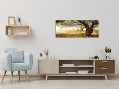 Glasdekor Obraz skleněný strom olivovník - Rozměry-obdélník: 40 x 100 cm