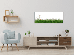 Glasdekor Obraz skleněný tráva s květem kopretiny - Rozměry-obdélník: 60 x 90 cm
