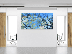 Glasdekor Obraz skleněný větve stromu odraz v hladině - Rozměry-obdélník: 60 x 70 cm