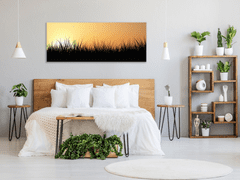 Glasdekor Obraz skleněný tráva v západu slunce - Rozměry-obdélník: 52 x 60 cm