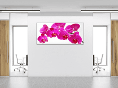 Glasdekor Obraz skleněný květ tyrkysově růžové orchideje - Rozměry-obdélník: 30 x 60 cm