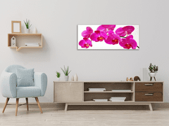 Glasdekor Obraz skleněný květ tyrkysově růžové orchideje - Rozměry-obdélník: 30 x 60 cm