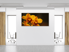 Glasdekor Obraz skleněný oranžový květ orchideje na hnědém pozadí - Rozměry-obdélník: 30 x 60 cm