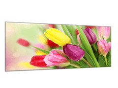 Glasdekor Obraz skleněný krásné květy barevné tulipány - Rozměry-obdélník: 40 x 60 cm