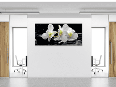 Glasdekor Obraz skleněný květy bílá orchidej na černém kameni - Rozměry-obdélník: 60 x 90 cm