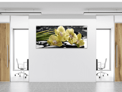 Glasdekor Obraz skleněný květy žlutá orchidej na černých kamenech - Rozměry-obdélník: 60 x 90 cm