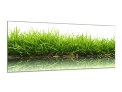 Glasdekor Obraz skleněný tráva s odrazem v hladině vody - Rozměry-obdélník: 70 x 100 cm
