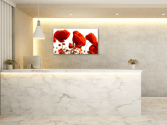 Glasdekor Obraz na zeď červené vlčí máky - Rozměry-obdélník: 60 x 80 cm