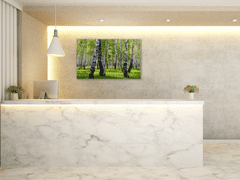 Glasdekor Obraz skleněný břízový les - Rozměry-obdélník: 60 x 70 cm