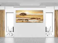 Glasdekor Obraz skleněný Safari a zebry - Rozměry-obdélník: 60 x 80 cm