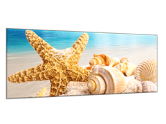 Glasdekor Obraz do koupelny hvězdice a mušle na pláži - Rozměry-obdélník: 50 x 70 cm