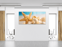 Glasdekor Obraz do koupelny hvězdice a mušle na pláži - Rozměry-obdélník: 50 x 70 cm