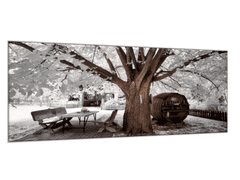 Glasdekor Obraz skleněný zimní strom a sud vína - Rozměry-obdélník: 60 x 70 cm