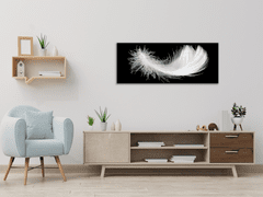 Glasdekor Obraz skleněný bílé peří na černém podkladu - Rozměry-obdélník: 30 x 60 cm