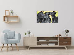 Glasdekor Obraz skleněný tulící se zebry - Rozměry-obdélník: 55 x 90 cm