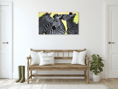 Glasdekor Obraz skleněný tulící se zebry - Rozměry-obdélník: 55 x 90 cm