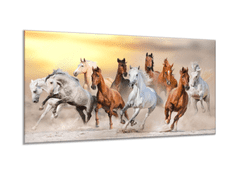 Glasdekor Obraz skleněný stádo koní v písku - Rozměry-obdélník: 70 x 100 cm