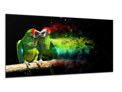 Glasdekor Obraz skleněný papoušek ara vojenská - Rozměry-obdélník: 60 x 125 cm