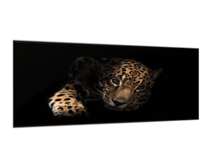 Glasdekor Obraz skleněný portrét ležící leopard - Rozměry-obdélník: 40 x 60 cm