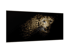 Glasdekor Obraz skleněný hlava leoparda - Rozměry-obdélník: 50 x 70 cm