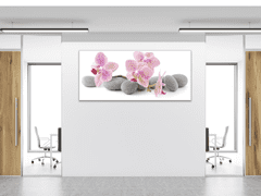 Glasdekor Obraz skleněný růžové květy orchidejí na šedých kamenech - Rozměry-obdélník: 40 x 100 cm