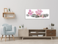 Glasdekor Obraz skleněný růžové květy orchidejí na šedých kamenech - Rozměry-obdélník: 40 x 100 cm