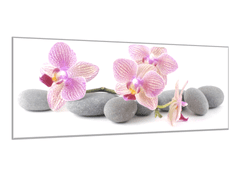 Glasdekor Obraz skleněný růžové květy orchidejí na šedých kamenech - Rozměry-obdélník: 40 x 100 cm