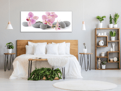 Glasdekor Obraz skleněný růžové květy orchidejí na šedých kamenech - Rozměry-obdélník: 40 x 100 cm