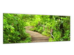 Glasdekor Obraz skleněný schody v lese - Rozměry-obdélník: 60 x 70 cm
