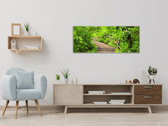 Glasdekor Obraz skleněný schody v lese - Rozměry-obdélník: 60 x 70 cm