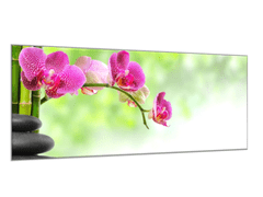 Glasdekor Obraz skleněný květy růžové orchideje na stonku a bambus - Rozměry-obdélník: 60 x 90 cm