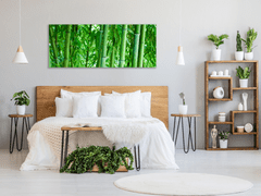 Glasdekor Obraz skleněný sytě zelený bambusový les - Rozměry-obdélník: 90 x 120 cm