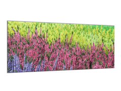 Glasdekor Obraz skleněný vřesové pole - Rozměry-obdélník: 30 x 60 cm