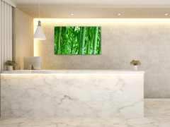 Glasdekor Obraz skleněný sytě zelený bambusový les - Rozměry-obdélník: 90 x 120 cm