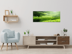 Glasdekor Obraz skleněný čajová plantáž Malajsie - Rozměry-obdélník: 40 x 60 cm