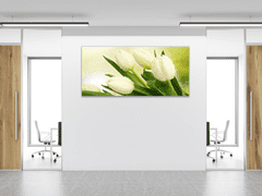 Glasdekor Obraz skleněný květy bílé tulipány na zeleném pozadí - Rozměry-obdélník: 50 x 70 cm