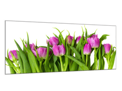 Glasdekor Obraz skleněný květy růžovo fialové tulipány - Rozměry-obdélník: 30 x 60 cm