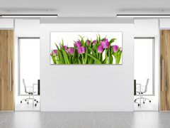 Glasdekor Obraz skleněný květy růžovo fialové tulipány - Rozměry-obdélník: 30 x 60 cm